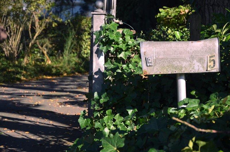 wood - material, sunlight, postbox, gate, beside, envelope, plant part, unread, number, box, mail, day, letter, outdoors, communication, paper, collection