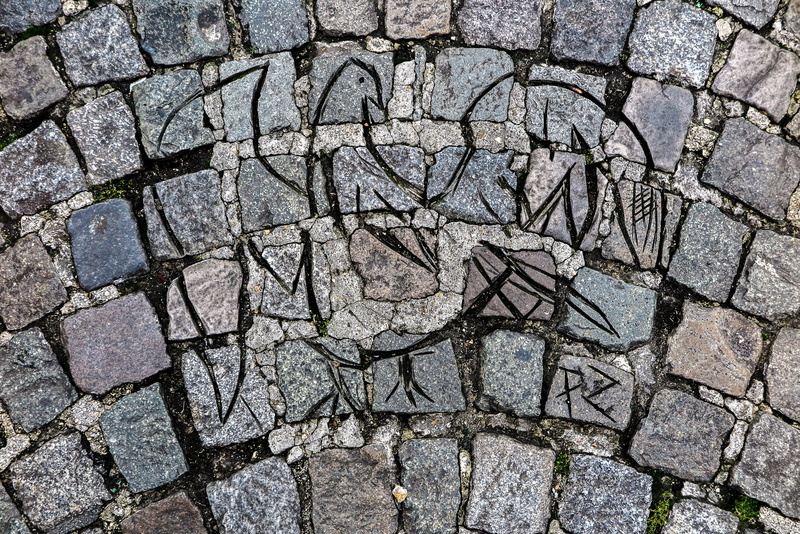 architecture, bird, no people, cobblestone, carved, city, europe, catholic, french, form, sacre, textured, full frame, carving, footpath, france, street