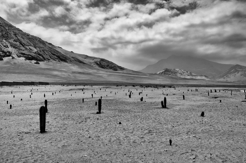 men, Peru, day, desert, group of people, real people, nature, Nazca, beauty in nature, tranquility, tranquil scene, 4K, scenics - nature, sky, cloud - sky