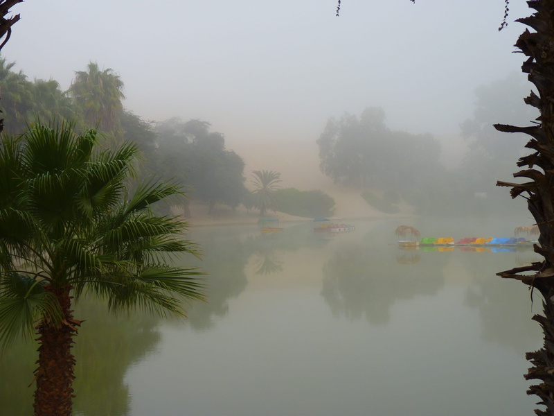 surrounded, tranquil scene, Evaporating, Water, palm tree, outdoors, waterfront, Desert, 4K, lake, idyllic, Oasis, reflection, beauty in nature, tropical climate