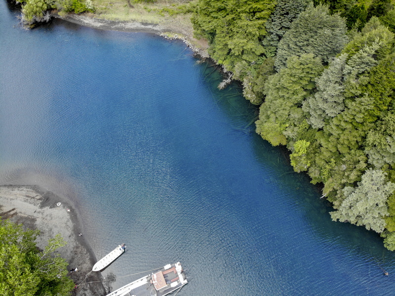 river, idyllic, sea, day, tranquility, no people, flowing, vegetation, green color, chile, non-urban scene, view, water, landscape, power in nature, rainforest