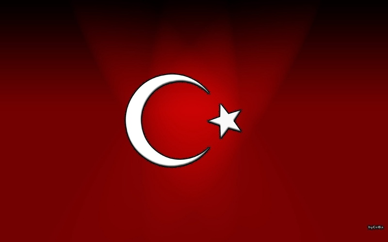 no people, circle, patriotism, computer Graphic, maple leaf, illustration, close-up, full frame, single object, airplane, red, three-dimensional Shape