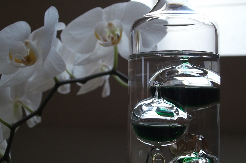 perfume sprayer, no people, fragility, freshness, flower, close-up, beauty in nature, modern, art image, focus on foreground, container, table, vulnerability