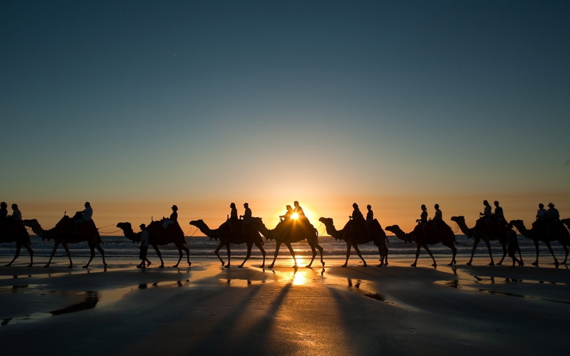 photo, 1080P, sunset, ride, desert, animals, camel