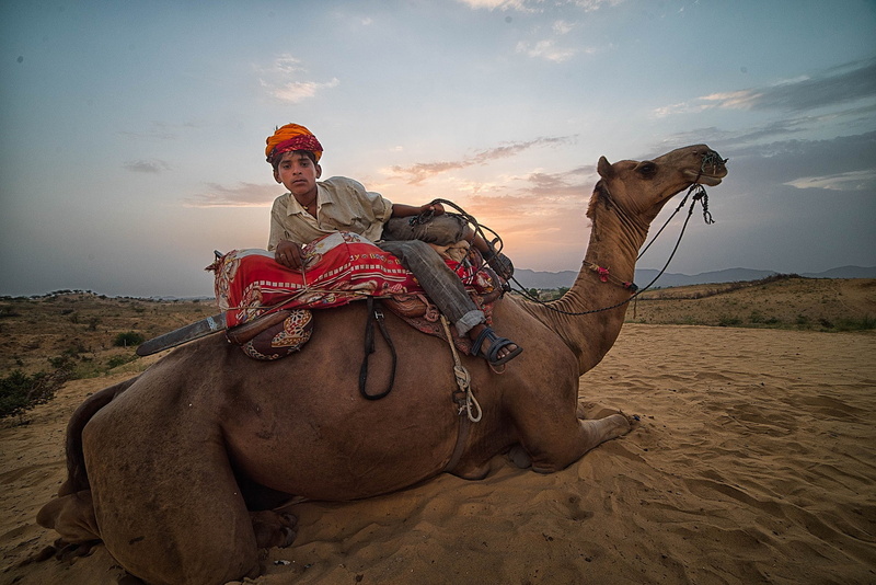 working animal, domestic, photography, animal, camel, livestock, nature, sky, pets, 1080P, one person, riding, vertebrate, one animal, outdoors, land