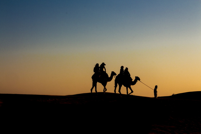 desert, group of people, animal, photography, copy space, sky, arid climate, land, domestic animals, domestic, animal themes, two, 5K, mammal, landscape