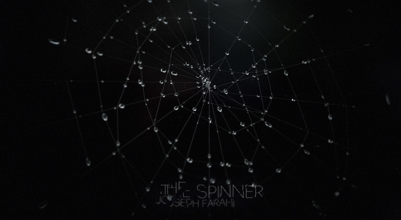 3d, studio shot, design, dark, spinner, spider, indoors, poster, cool, black background, vulnerability, nature, animation, close-up, web, pattern, focus on foreground