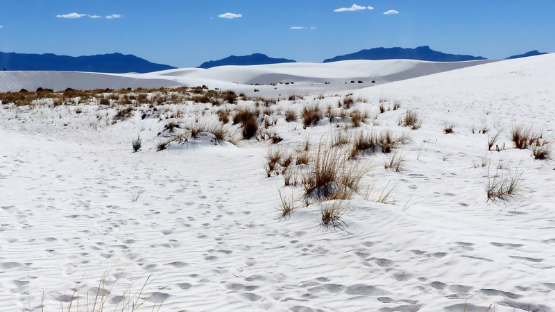 nature, usa, scenics - nature, cold temperature, coniferous tree, dry, landscape, winter, 4K, land, mountain peak, tranquil scene, desert, arid, non-urban scene