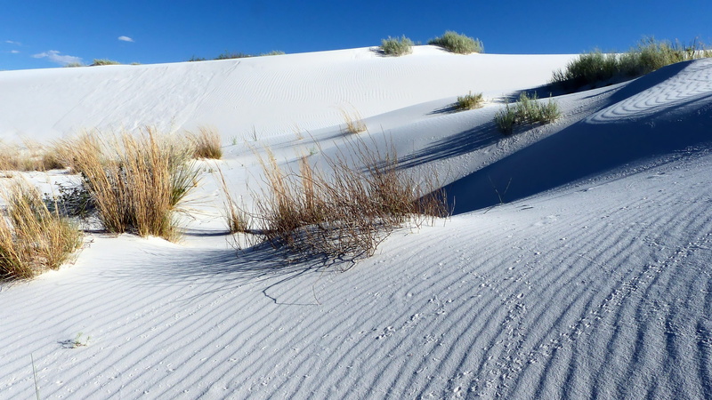 scenics - nature, snow, america, day, white, no people, nature, park, winter, waves, desert, outdoors, frozen, plant, tranquility, cold temperature, environment