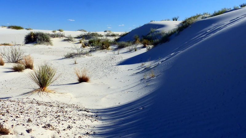 clear sky, covering, environment, 4K, land, non-urban scene, landscape, sky, dry, tree, cold temperature, gypsum, scenics - nature, snow, day, usa, sands