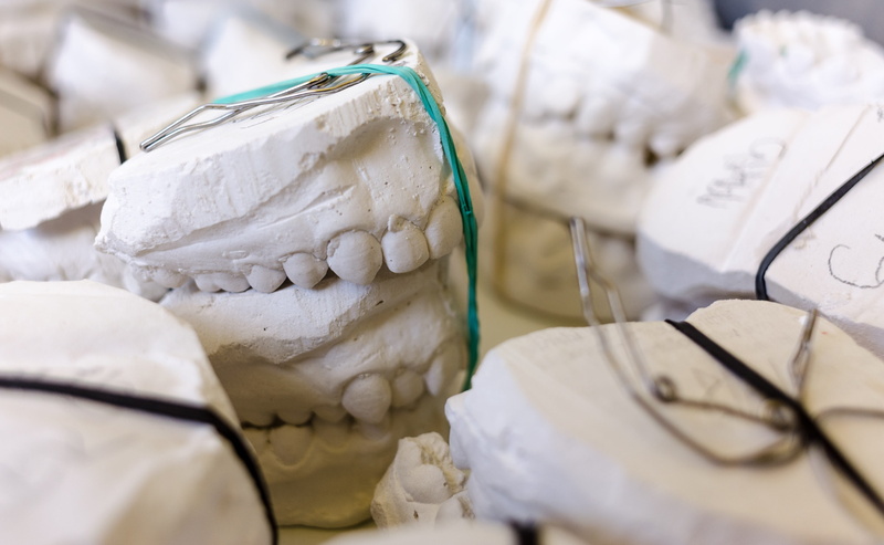 indoors, market, Gypsum, security, Teeth, close-up, white color, bone, anatomy, healthcare and medicine, food, 4K, Models, biology, white, group of objects