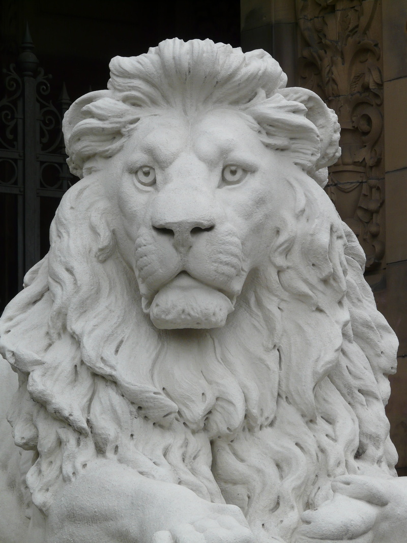 close-up, chalk figure, 2K, feline, sculpture, figure, lion - feline, white, architecture, human representation, male likeness, no people, animal, cat