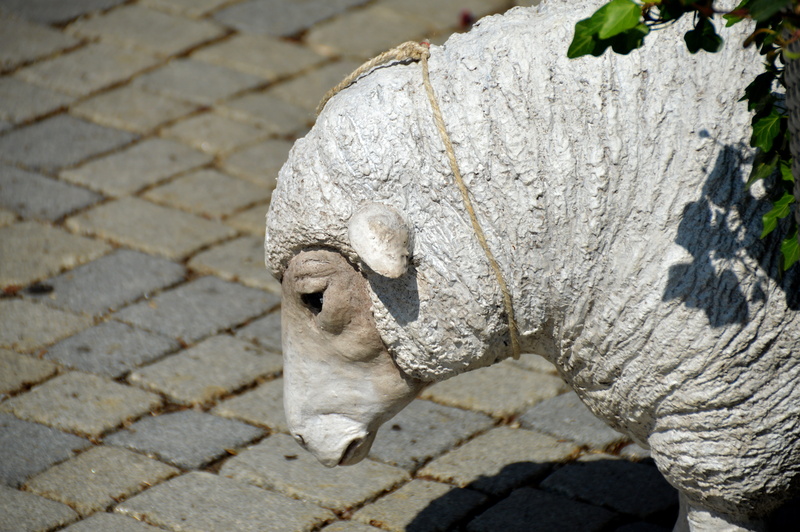 sunlight, paving stone, 5K, stone material, art and craft, Sheep, Head, human representation, Gypsum, representation, creativity, statue, craft, animal