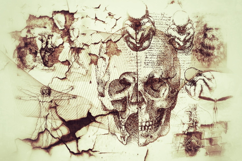 beige, animal themes, grunge, human Face, craft, animal wildlife, obsolete, artifacts, dirty, directly above, abstract, backgrounds, spooky, old, art and craft