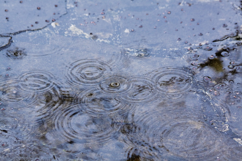 abstract, rainy season, 4K, no people, high angle view, full frame, wet, day, interference, time lapse, circle, ground, drop, purity, time, drops, photo
