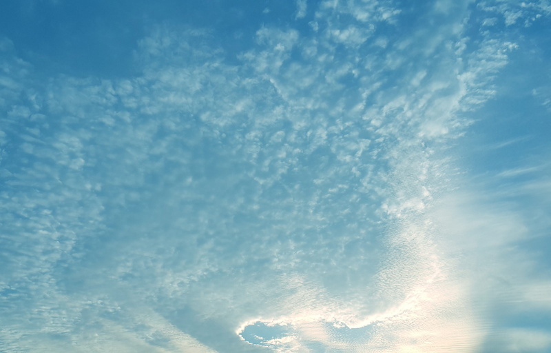 scenics - nature, for interference, white color, idyllic, sky, incheon was in the sky, bright, day, 2K, tranquil scene, low angle view, work with, outdoors