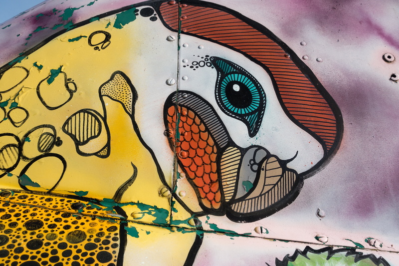 fund, craft, no people, pink, animal body part, youth, white, object, painting, wonabc, grunge, paint, structure, one animal, eyeball, butterfly - insect