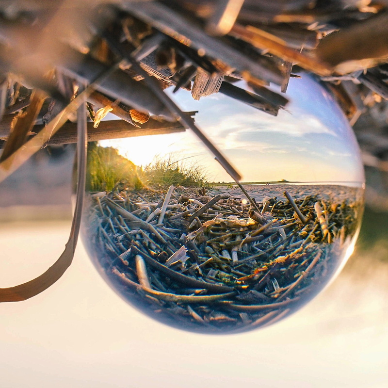 kings park, crystalball, water, transparent, glass, refreshment, food and drink, kings park bluff, 1080P, plant, day, table, united states, no people