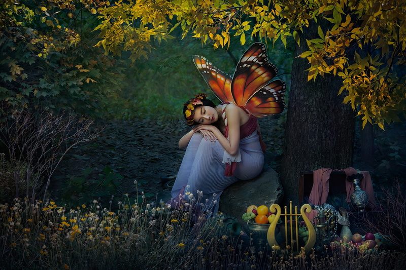 forest, nature, 2K, Asian, elf, girl, fantasy, butterfly, harp, wings