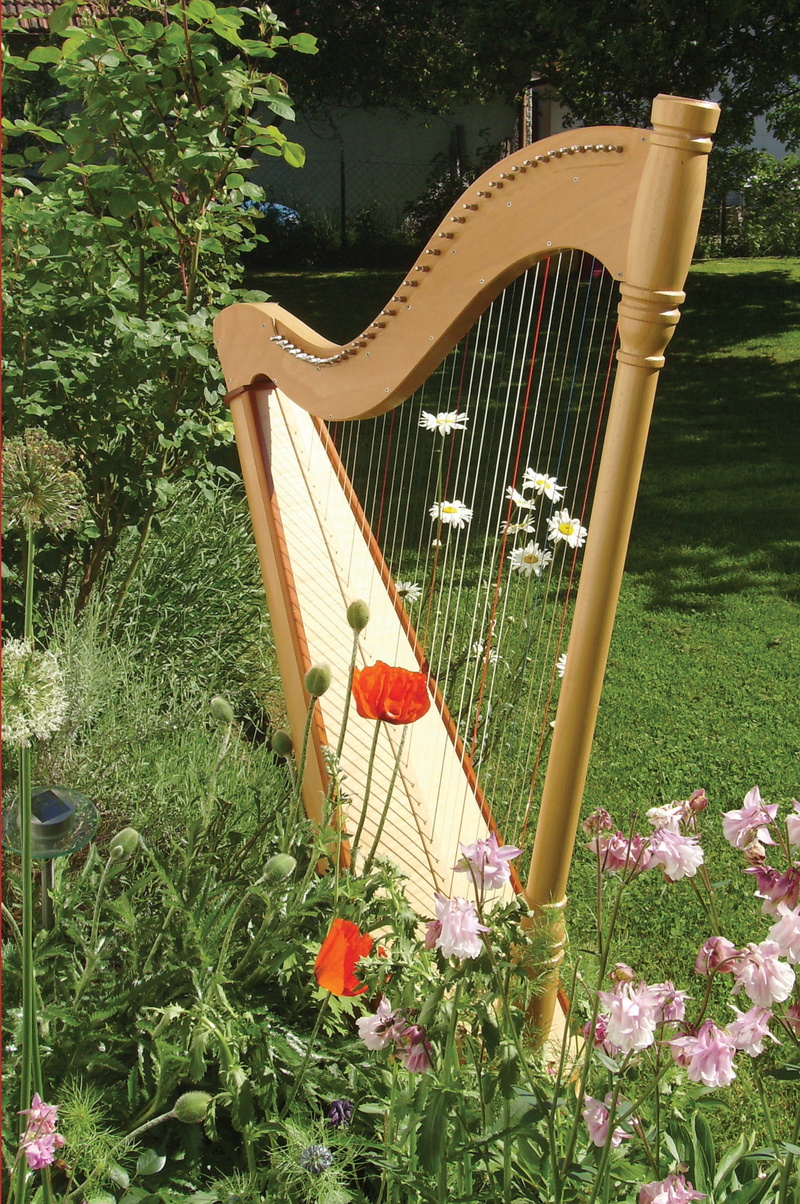 empty, stringed instrument, nature, instrument, absence, flowering plant, beauty in nature, 1080P, Harp, tree, no people, front or back yard, seat, wooden