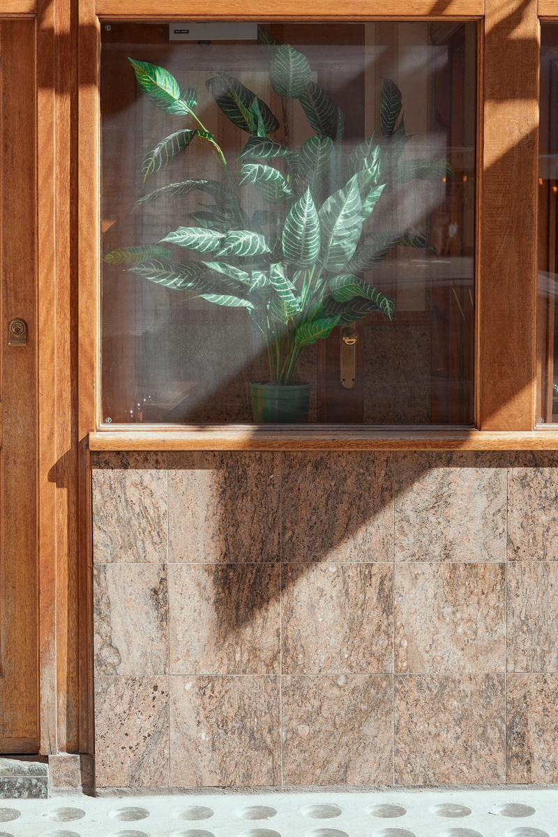 sunlight, no People, window, building, wall - Building Feature, facade, architecture, still live, light, green, city, door, plants, old, leaves, wall, decoration