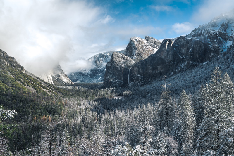 woods, fir, tranquil scene, beauty in nature, cloudy, plant, peak, outdoors, abies, no people, tunnel view, california, mountains, mountain, non-urban scene