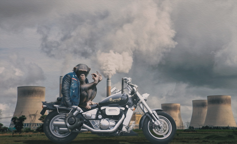 flare-up, anti, adult, males, air pollution, mode of transportation, outdoors, chimney, protection, transportation, environment, sports helmet, two people
