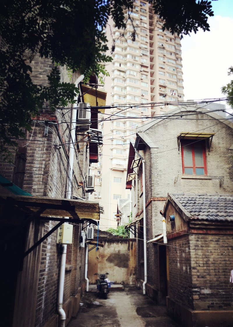 street, plant, residential district, nanjing middle class, day, narrow, outdoors, direction, tree, city, architecture, no people, footpath, house, the way forward