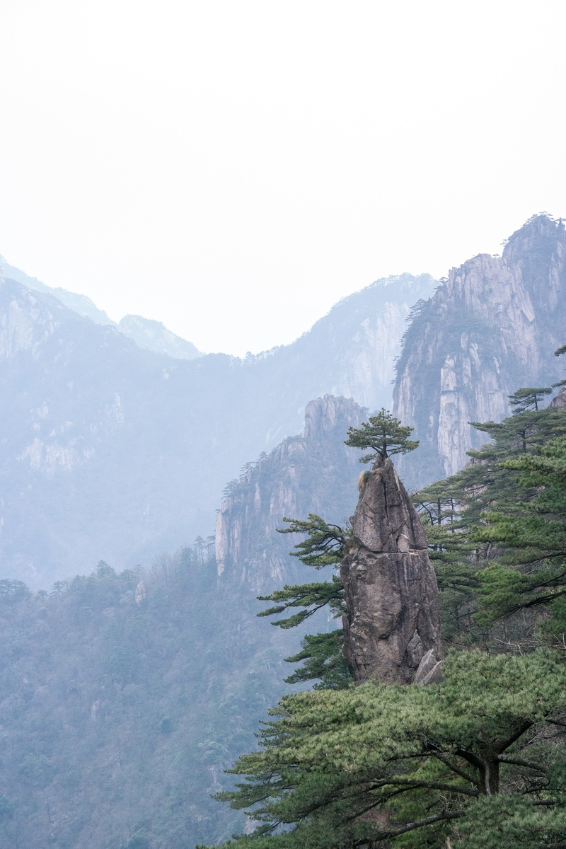 sky, fog, no people, beauty in nature, cliff, landscape paintings, tranquility, environment, top, nature, tranquil scene, tree, idyllic, sulfuric acid