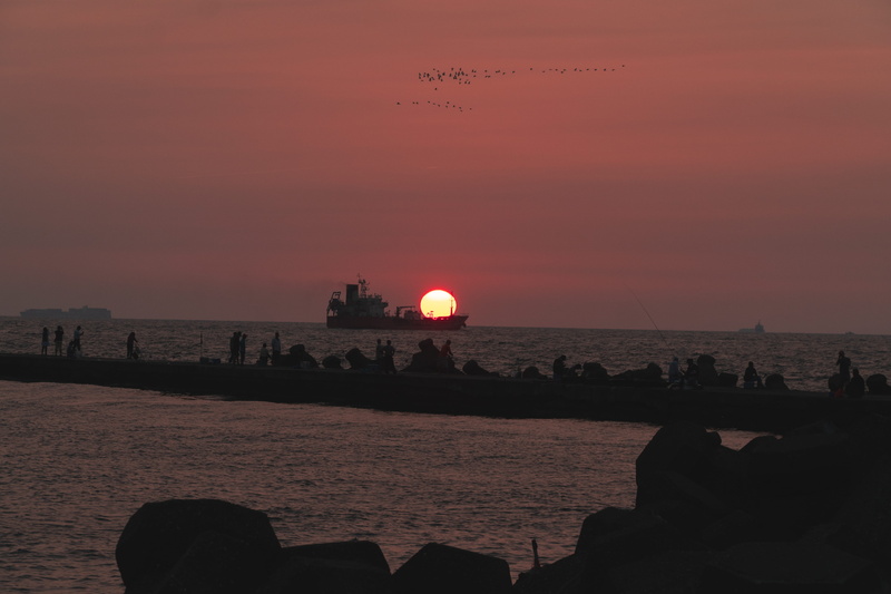 birds, sun, nature, scenics - nature, orange, human, rock - object, taiwan, built structure, silhouette, kaohsiung, sunrise, beauty in nature, dawn, idyllic