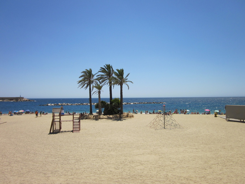 tropical climate, sea, palm tree, incidental people, garrucha, horizon, clear sky, tranquil scene, plant, coconut palm tree, almeria, land, tranquility