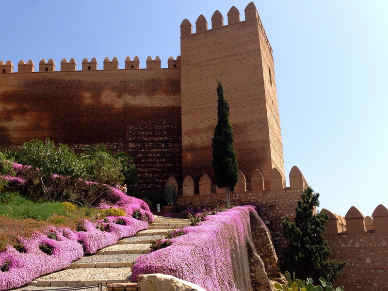 ancient civilization, purple, the past, old, travel destinations, sunlight, travel, fort, ancient, history, built structure, no people, plant, nature, building