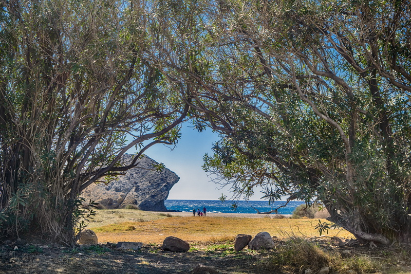 water, branch, built structure, plant, outdoors, tree, 5K, cabo de gata, tranquility, no people, solid, beach, field, day, almeria, architecture, tranquil scene