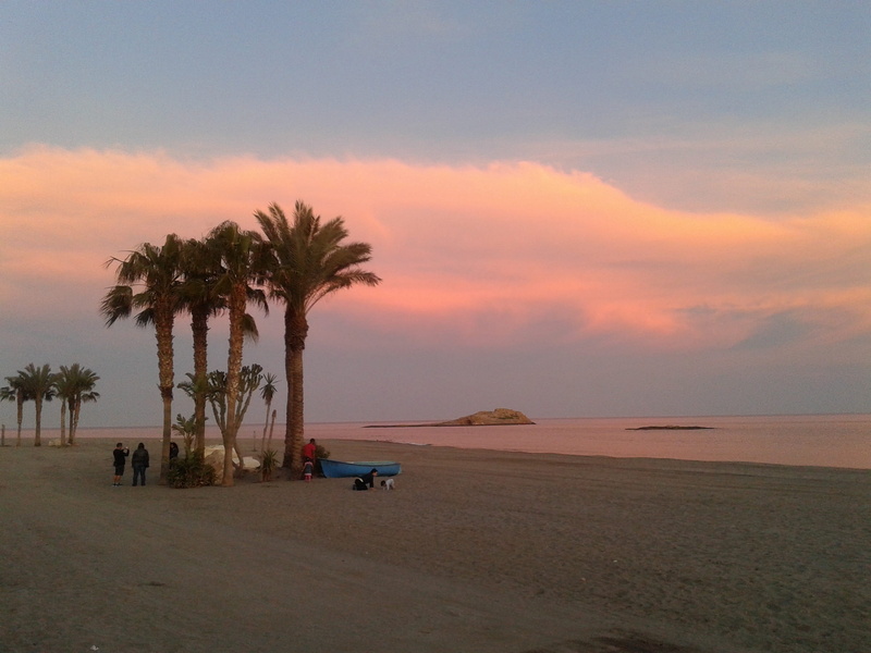 tranquility, horizon, scenics - nature, plant, Beach, carboneras, palm tree, land, sea, vera, outdoors, horizon over water, cloud - sky, water, beauty in nature