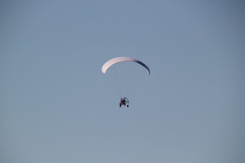 beach, adventure, parachute, holiday, sport, nature, outdoors, unrecognizable person, paragliding, almeria, one person, gliding, freedom, extreme sports