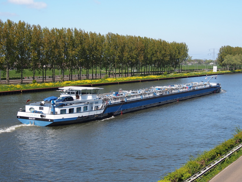freight, tree, growth, river, plant, passenger craft, vessel, cargo, waterway, logistics, almeria, nature, water, nautical vessel, luxury, transportation