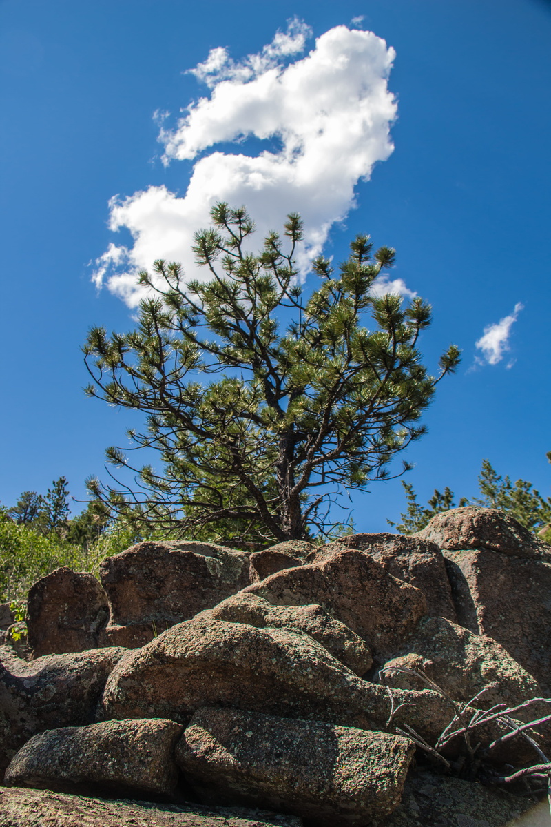 land, smc, mountain, cloud - sky, shambhala mountain center, united states, rock, tranquility, plant, blue, eroded, tree, growth, sunlight, outdoors, 5K