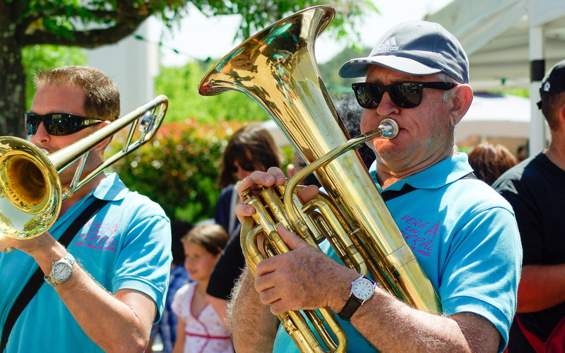 musician, leisure activity, parade, focus on foreground, celebration, marching band, music, musicians, group of people, brass, men, adult, trumpet, people