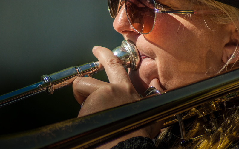 Trombone, glasses, human body part, Musician, artist, headshot, occupation, 4K, indoors, one person, adult, Musical Instrument, profile view, music, side view