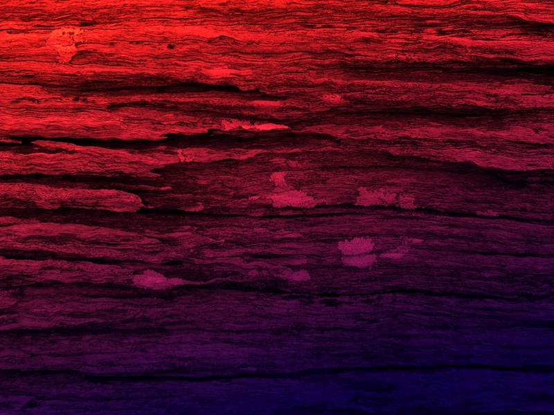 vintage, copy space, dark, textured backgrounds, blank, saturated color, decoration, aged, wood, background texture, 2K, background, background textures