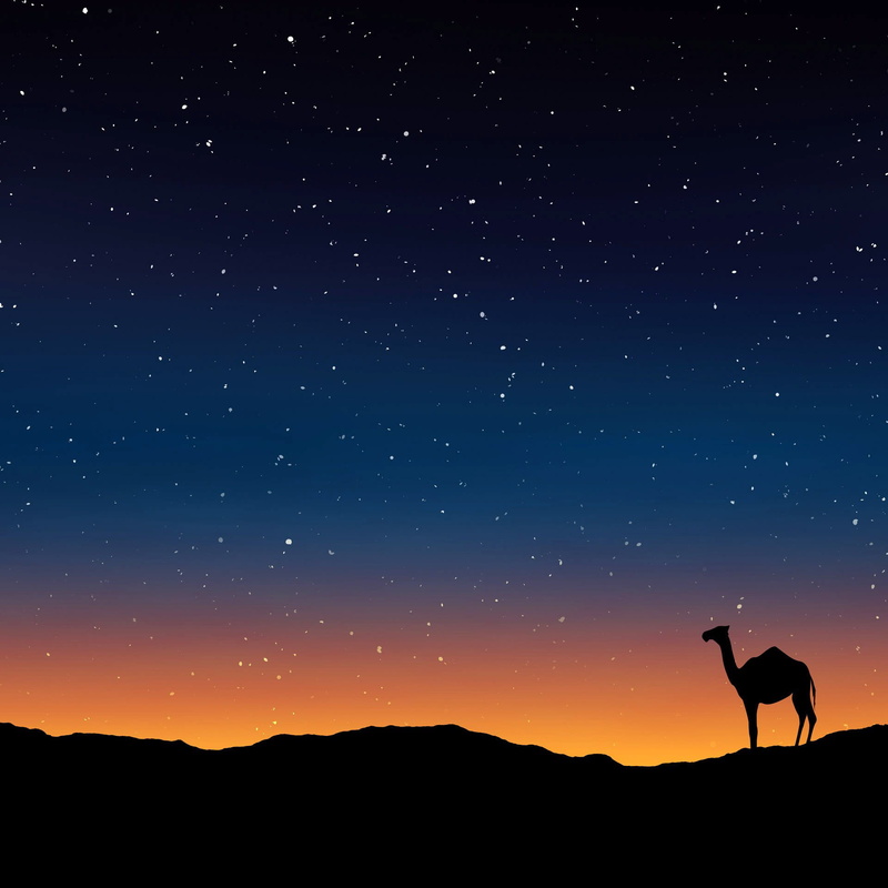 under the stars, stars, animal, nature, desert, 1080P, mountain, no people, star, night, public domain, tranquility, outdoors, landscape, photos, silouette
