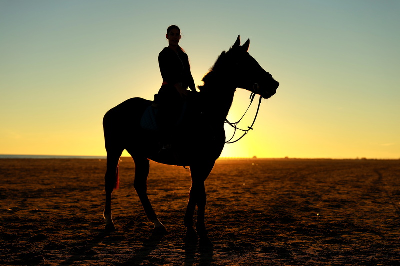 mammal, girl, land, outdoors, animal, lifestyles, herbivorous, woman, one person, domestic, barcelona, real people, pets, sky, people, riding, equestrian