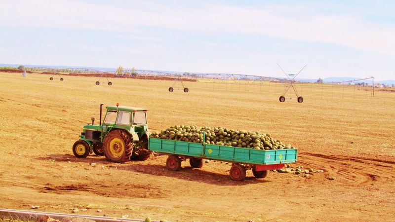 1080P, Man Made, Campo Tierra Paisaje, Farm