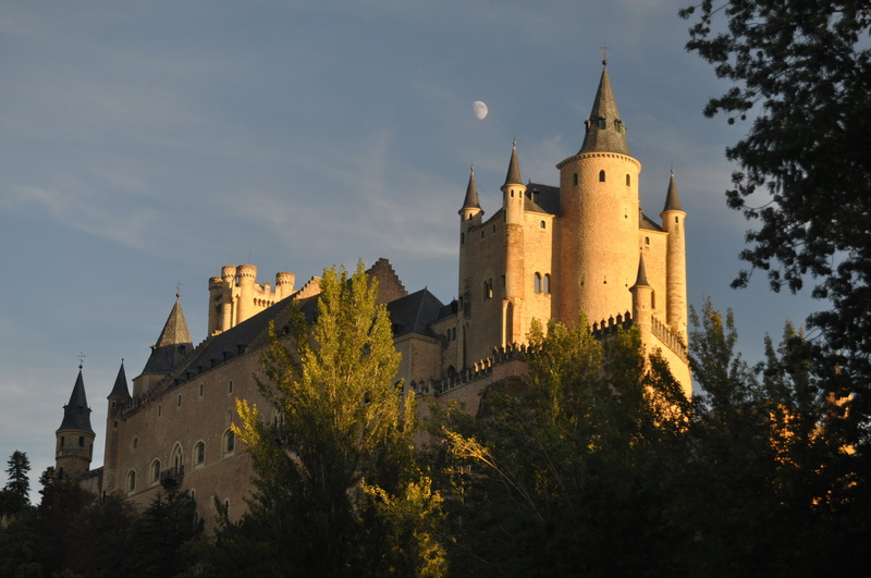 alcazar, architecture, building exterior, day, travel, history, tree, fort, plant, low angle view, medieval, 4K, castle, building, built structure, the past