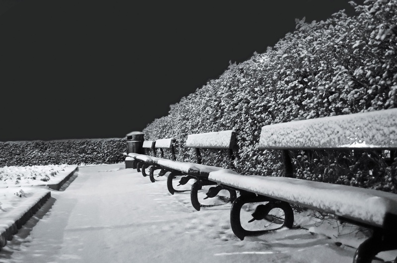 minus, tree, cold temperature, land, background, railing, winter, sky, metal, plant, snow, white, outdoors, architecture, benches, shrubs, field, temperature