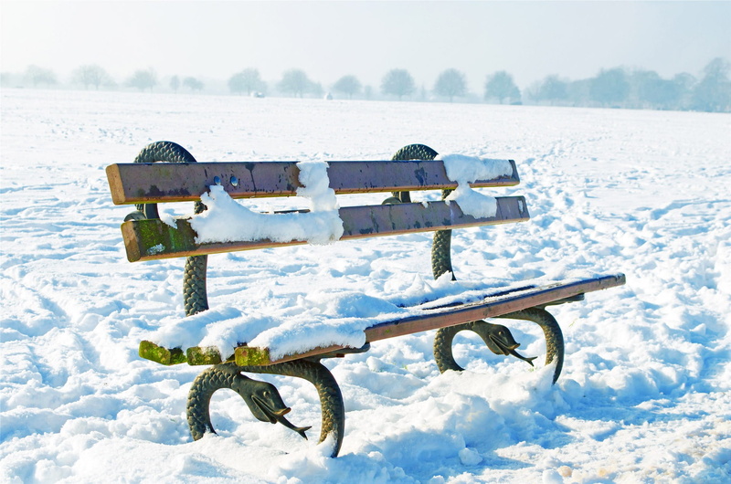 background, field, wooden, focus on foreground, tranquility, surround, christmas, absence, wheel, seasons, minus, scenics - nature, temperatures, outdoors