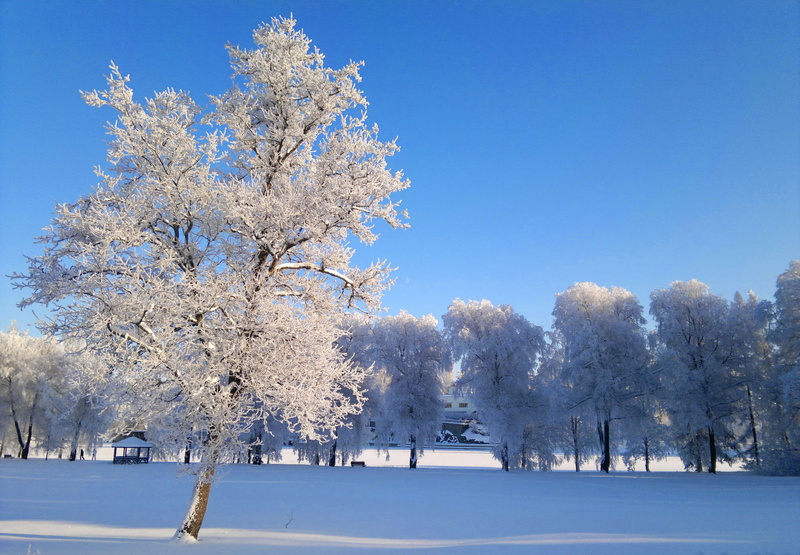 snow, frozen, white color, ze, springtime, winter landscape, frost, scenics - nature, 4K, minus degrees, blue, outdoors, nature, environment, beauty in nature