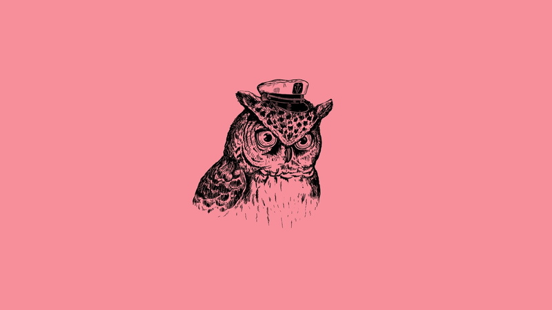representation, copy space, close-up, Art Print, 1080P, studio shot, Bird, cut out, owl, no people, colored background, container, creativity, red, still life