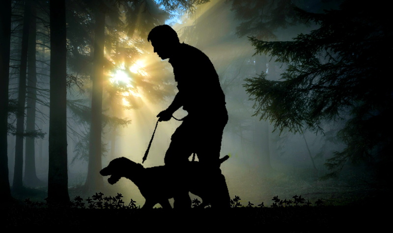 silhouette, domestic animals, hiking, adult, sky, pet owner, back light, dog human, animal, leash, pets, standing, walk, dog, on leash, abendstimmung, man