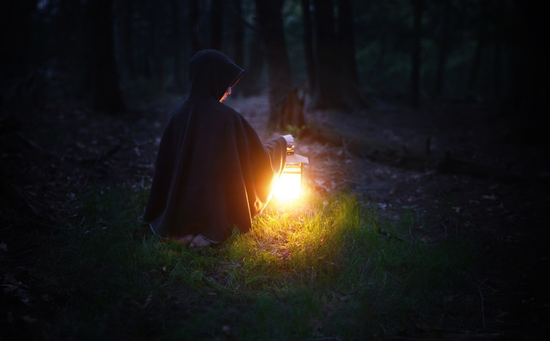 woodland, myth, Follow, field, Dark, guide, sunlight, lifestyles, Trees, one person, nature, tree, real people, Forest, Light, outdoors, grass, Glow, rear view